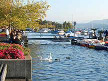 Lake Zurich