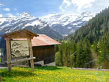 Les Diablerets Valley View