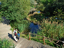 Masoala Rainforst Exhibot Zurich Zoo