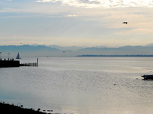 Thurbo Train Lake Constance View