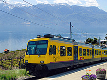 Wine Train Des Vignes Lavaux